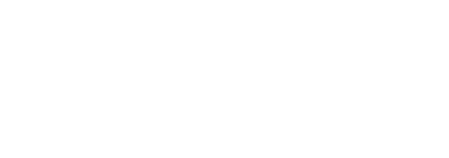 Custonic